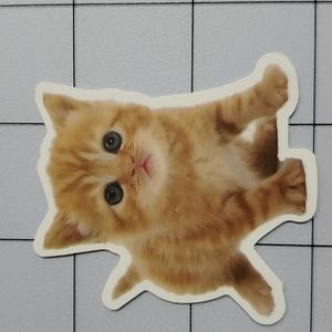 CAT Sticker